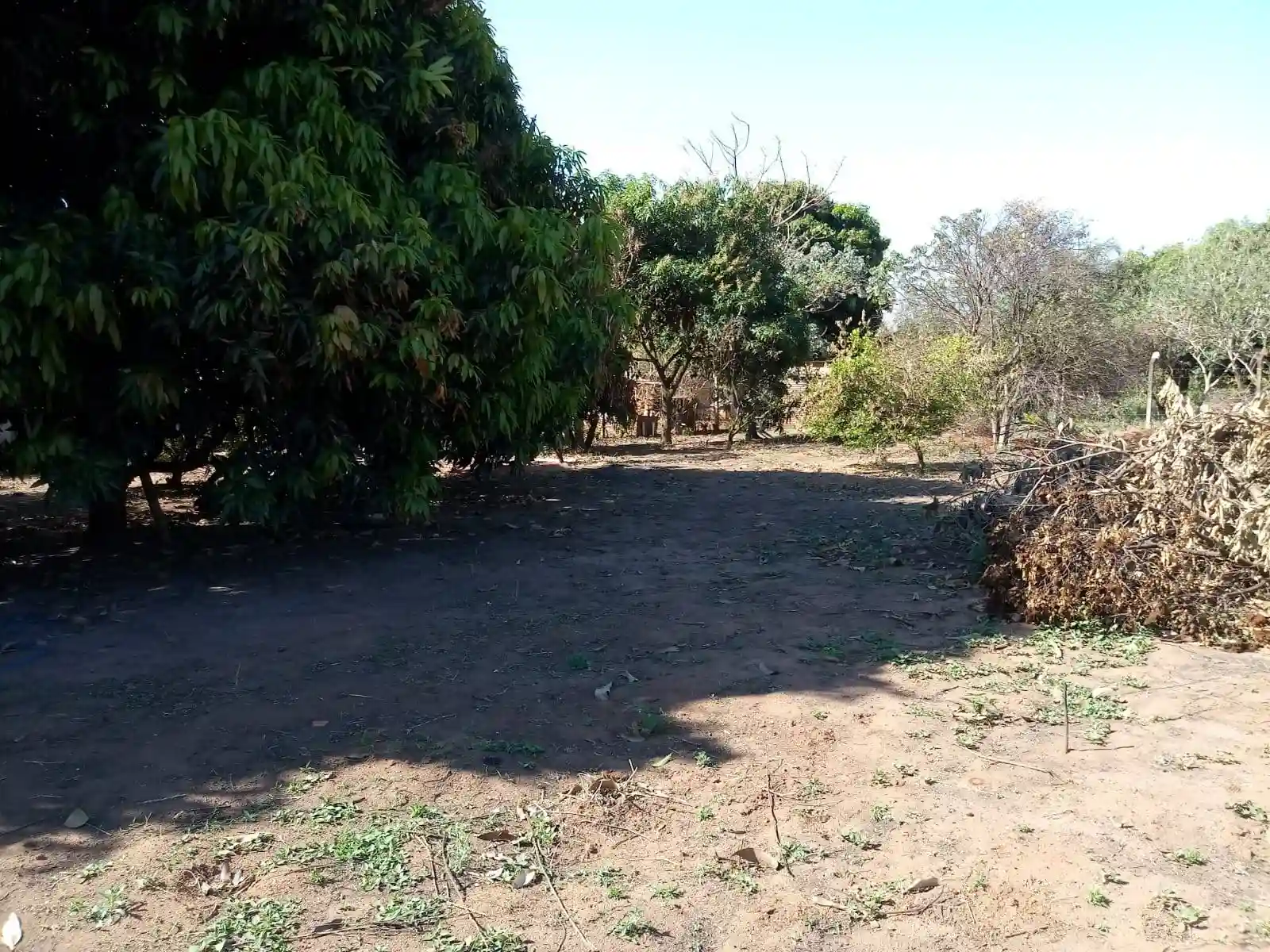 Fazenda / Sítio / Chácara  à venda, 2000m² — foto 21 de 21