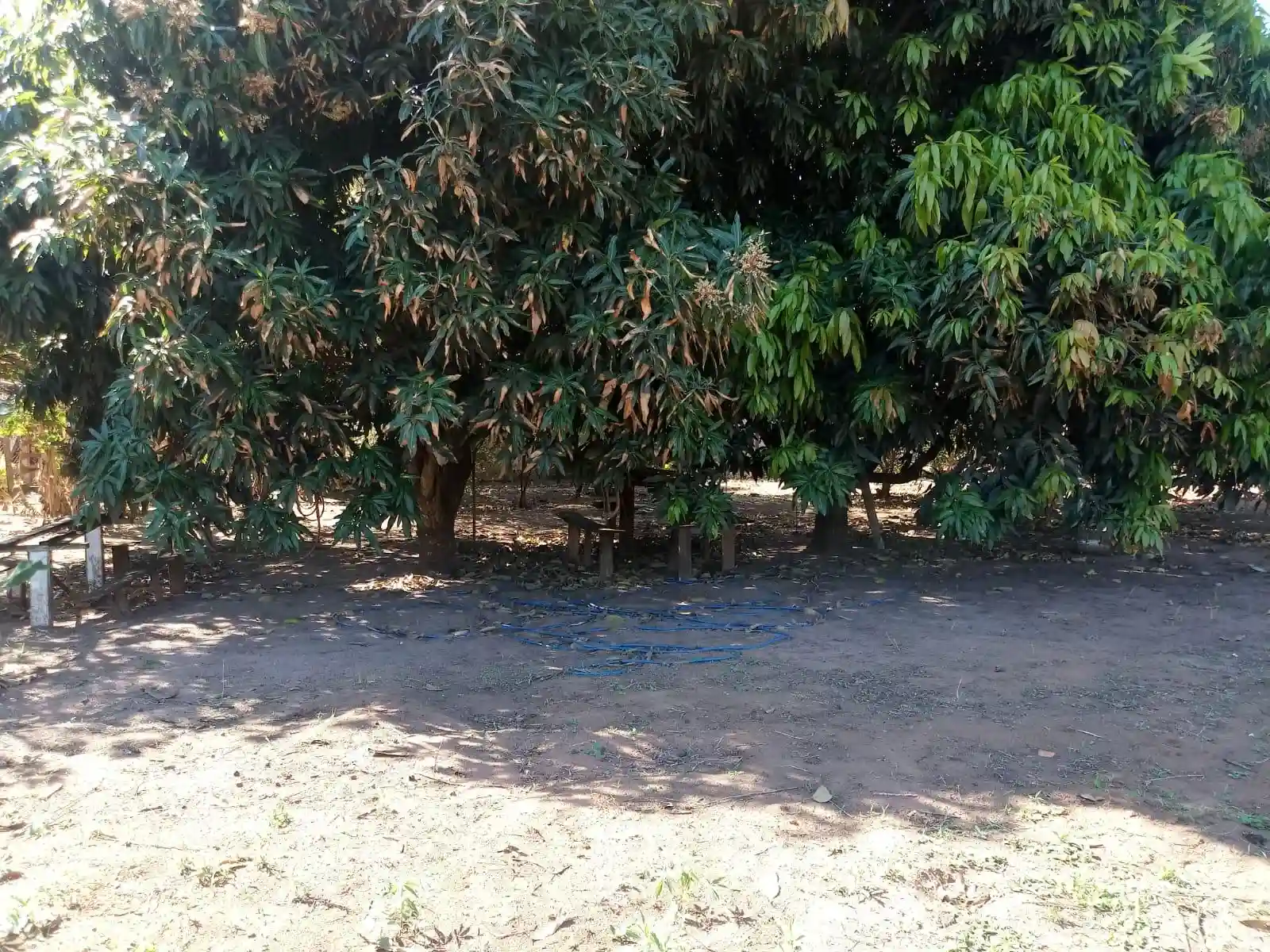 Fazenda / Sítio / Chácara  à venda, 2000m² — foto 19 de 21