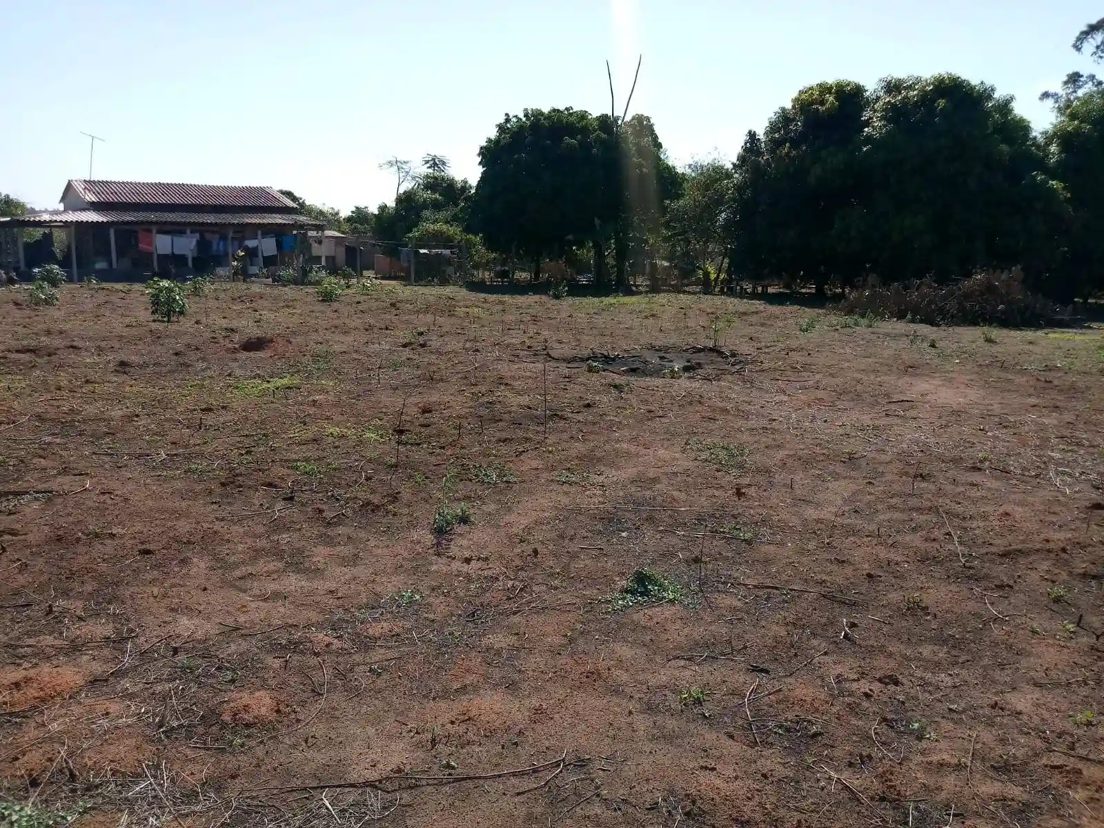 Fazenda / Sítio / Chácara  à venda, 2000m² — foto 7 de 21