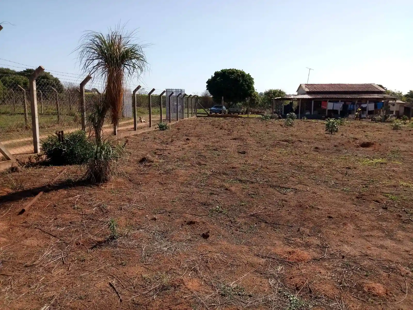 Fazenda / Sítio / Chácara  à venda, 2000m² — foto 10 de 21