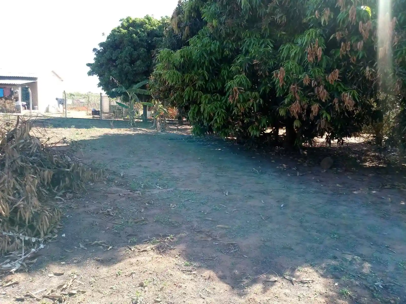 Fazenda / Sítio / Chácara  à venda, 2000m² — foto 17 de 21