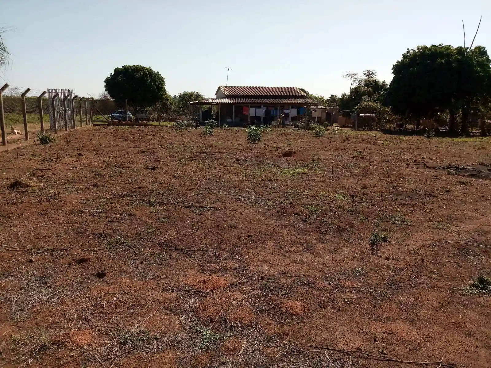 Fazenda / Sítio / Chácara  à venda, 2000m² — foto 9 de 21