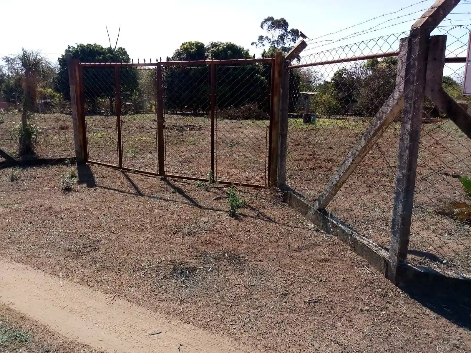 Fazenda / Sítio / Chácara  à venda, 2000m² — foto 8 de 21