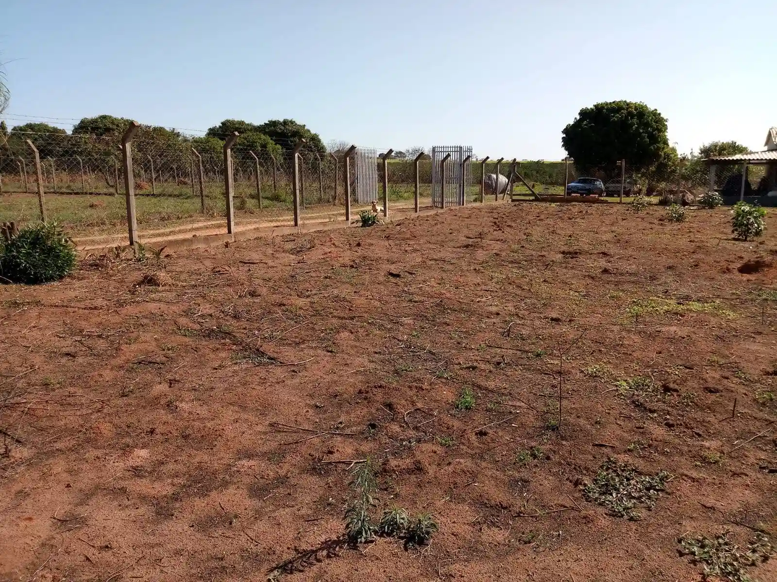 Fazenda / Sítio / Chácara  à venda, 2000m² — foto 16 de 21