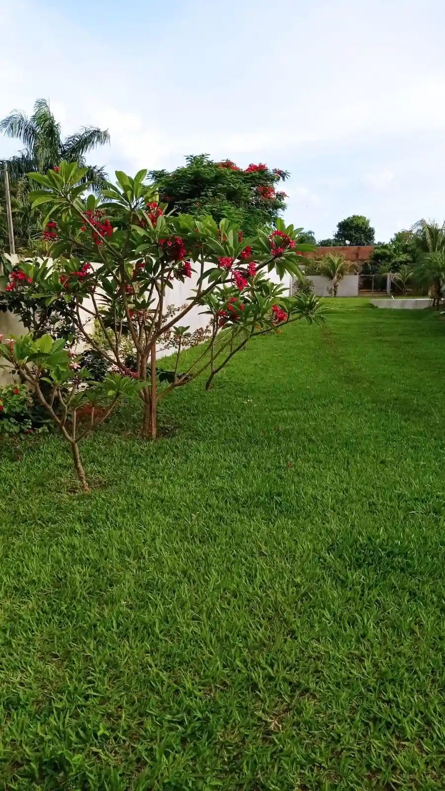 Fazenda / Sítio / Chácara com 3 quartos à venda, 2000m² — foto 5 de 16