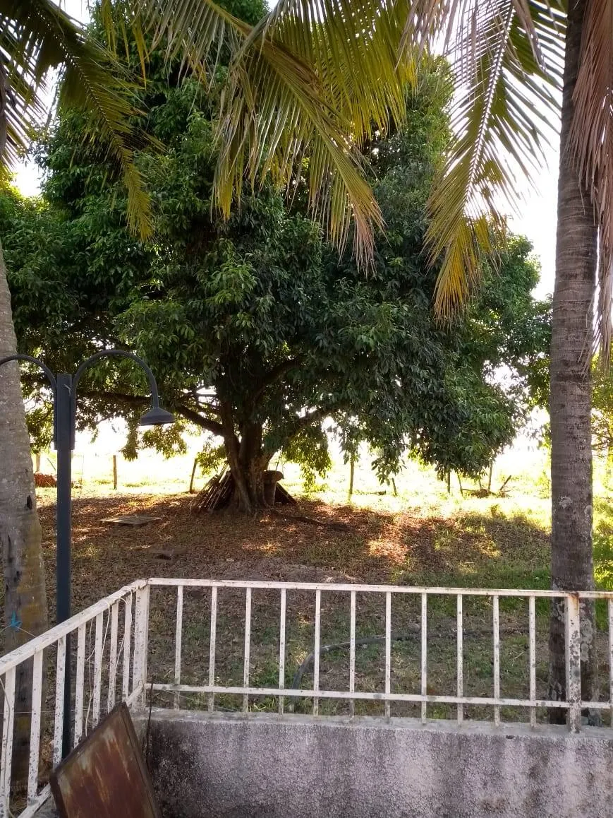 Fazenda / Sítio / Chácara para aluguel, 8500m² — foto 9 de 11