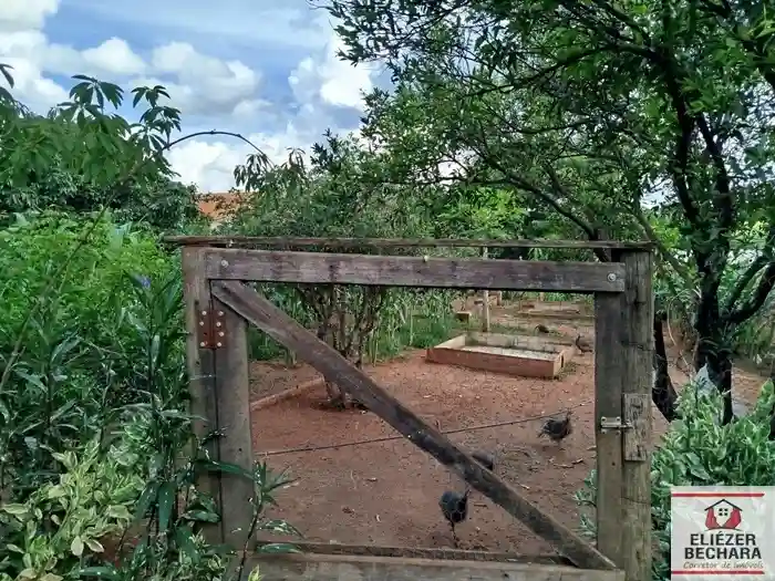 Fazenda / Sítio / Chácara com 3 quartos à venda, 2000m² — foto 15 de 22