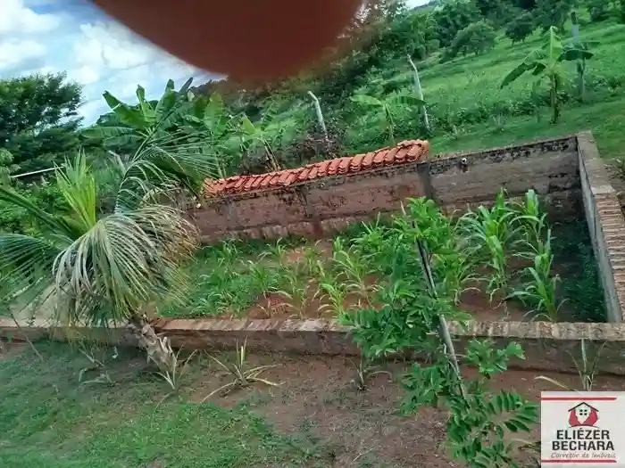 Fazenda / Sítio / Chácara com 3 quartos à venda, 2000m² — foto 5 de 22