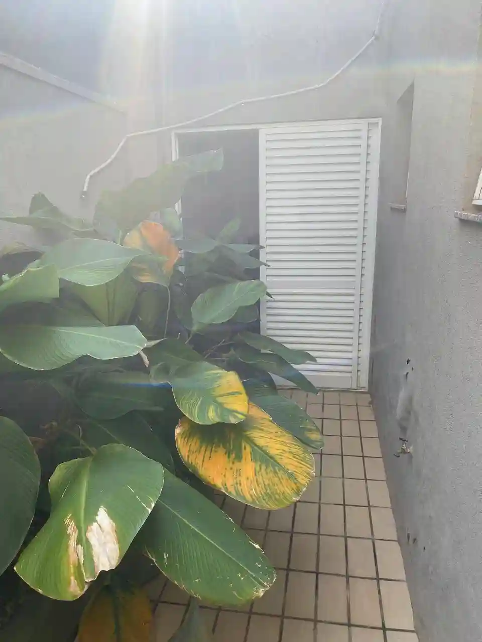 Casa de Condomínio com 3 quartos à venda, 220m² — foto 17 de 17