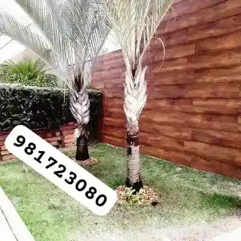 Casa de Condomínio com 3 quartos para aluguel, 189m² — foto 5 de 9