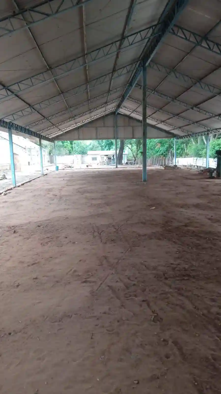 Fazenda / Sítio / Chácara com 4 quartos à venda, 6000m² — foto 3 de 13