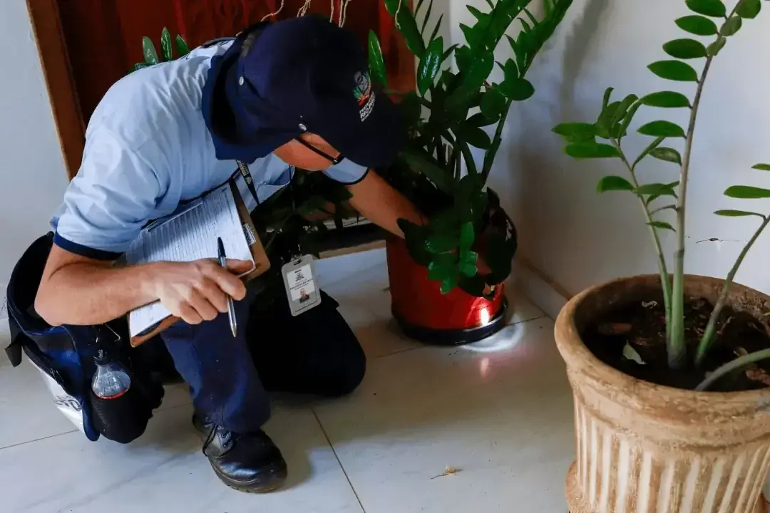 Divulgação/Ivan Feitosa/Prefeitura