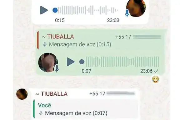 Mensagens de whatsapp (Reprodução)