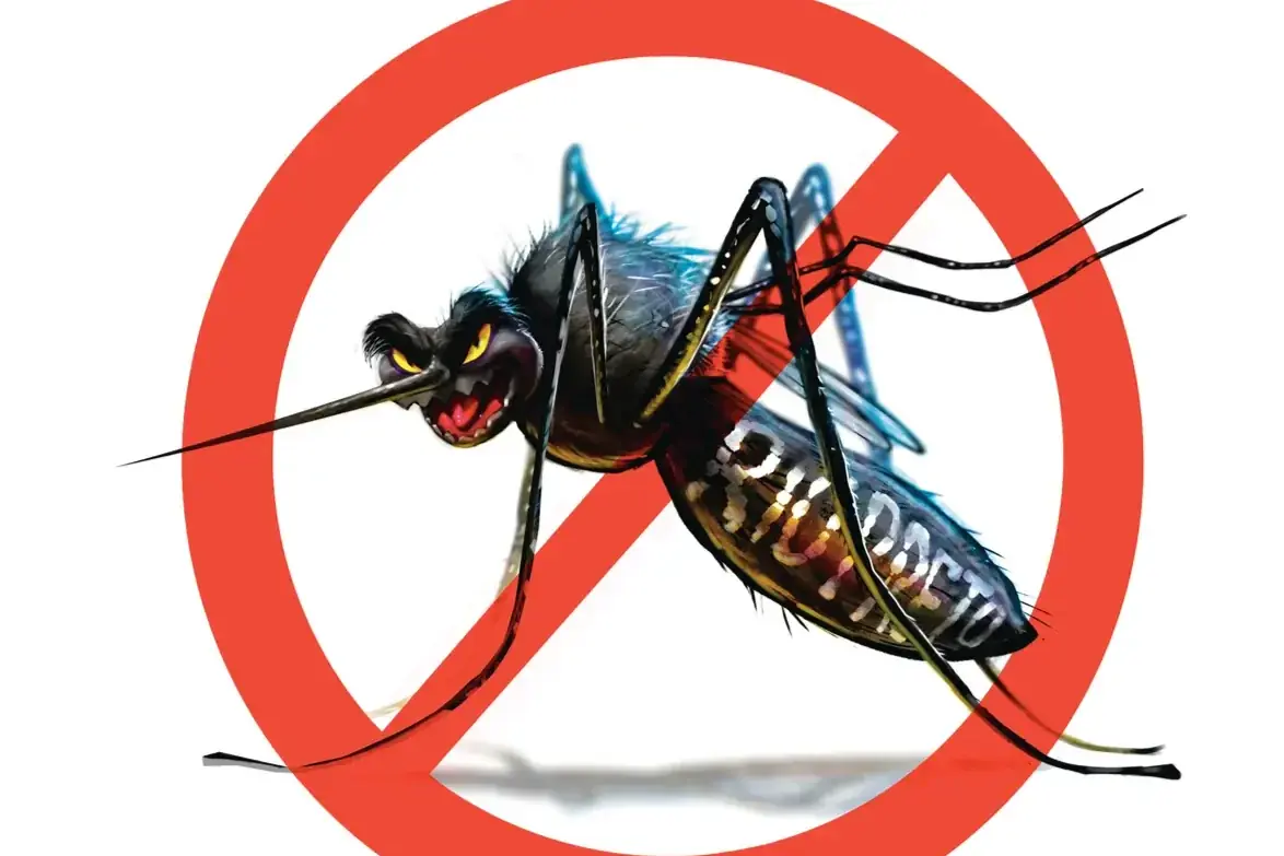 A AEDES NA MIRA (Divulgação)