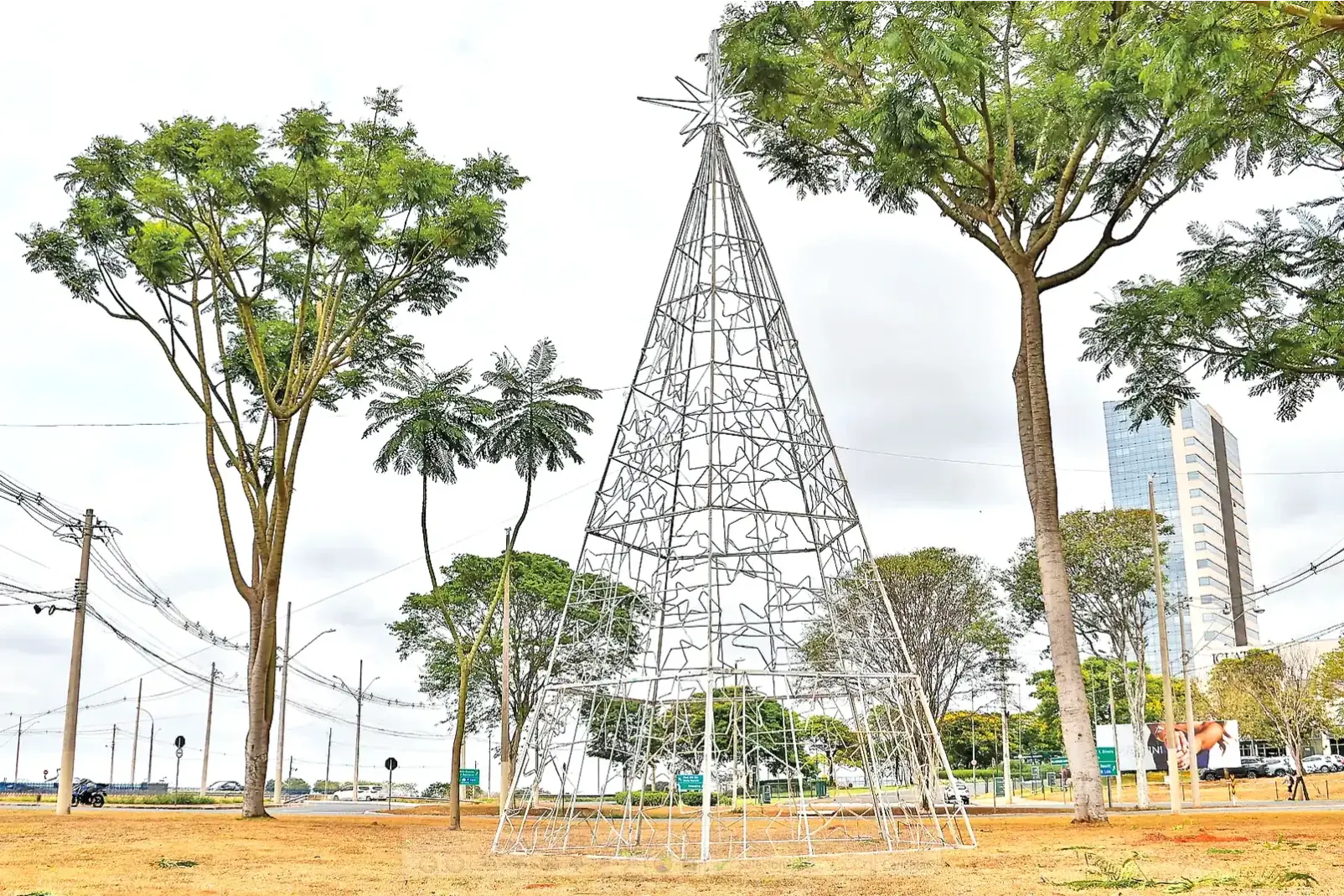 Rio Preto inaugura temporada natalina nesta sexta-feira