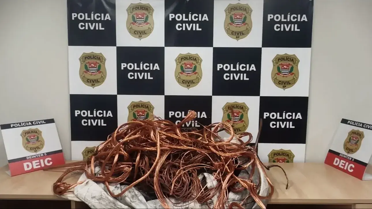 Fios de cobre apreendidos pela Deic (Divulgação/Deic)