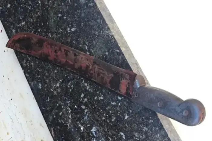 Polícia Militar / Divulgação