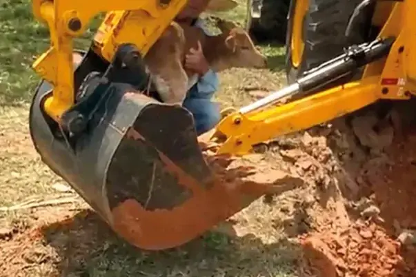 Máquina usada no resgate do animal em sítio de Auriflama (Divulgação/Pô Auriflama)