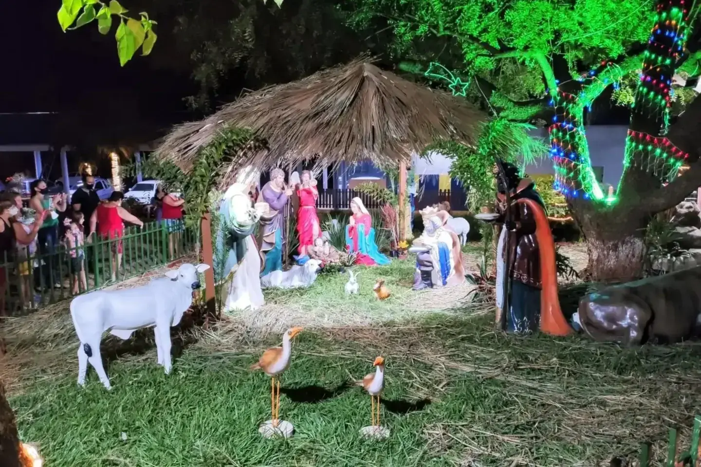 Thumbnail description