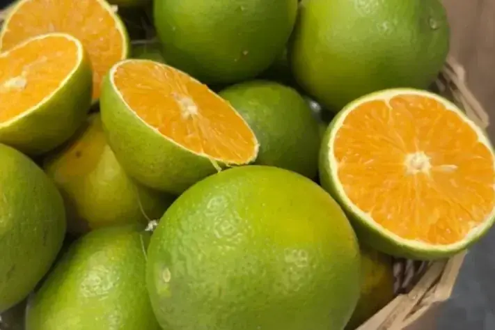 Thumbnail description