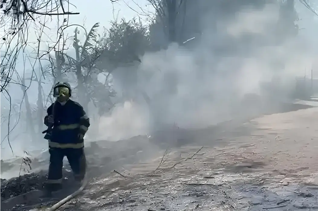 Bombeiros combatem incêndio no Gabriela, em Rio Preto