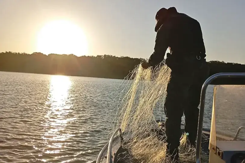 Thumbnail description