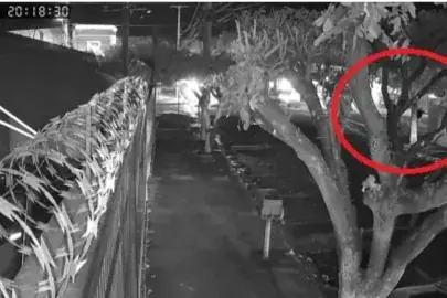 Jovem de 18 anos é morto com tiro na cabeça no Santo Antônio, em Rio Preto