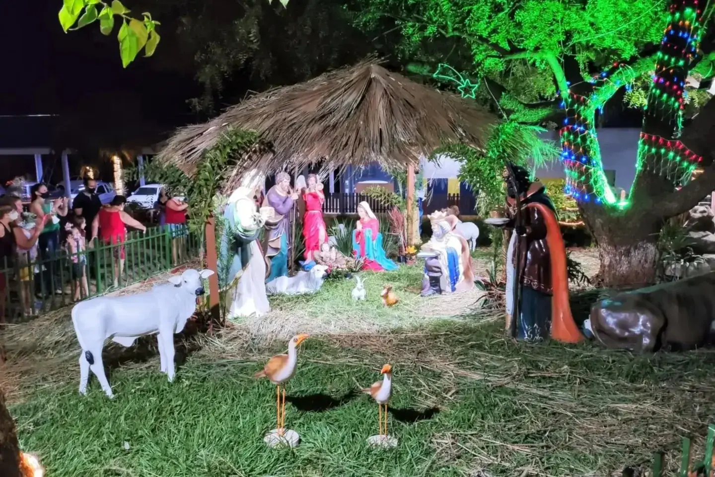 Magia natalina ganha vida em Uchoa com presépio vivo