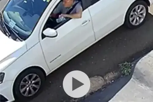 Homem é suspeito de envenenar cão do vizinho em Jales