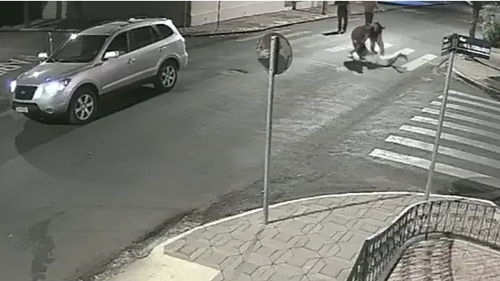 As agressões foram registradas através de uma câmera de segurança (Reprodução)