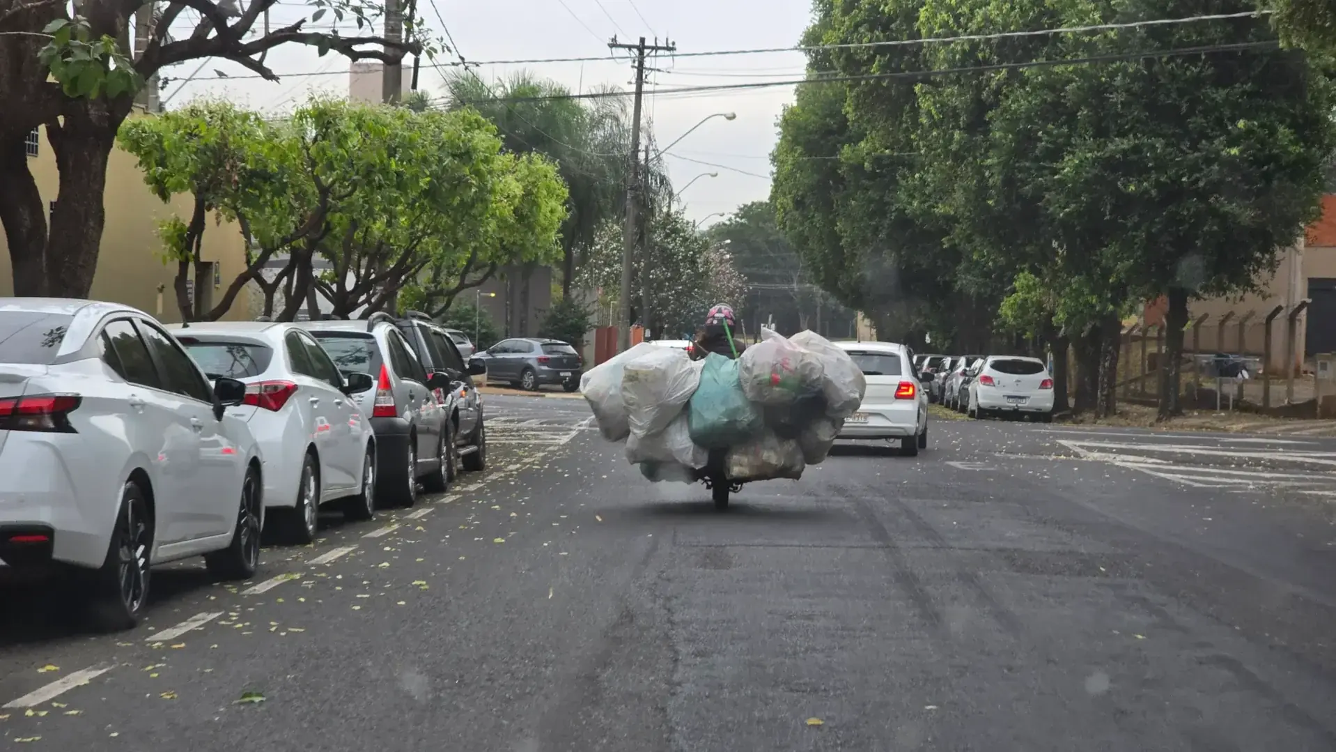 Mulher transportando ao menos 10 sacos de recicláveis em ruas de Rio Preto (Edvaldo Santos 5/8/2025)