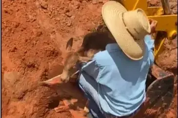 Thumbnail description