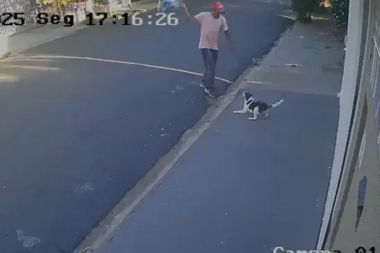 Thumbnail description