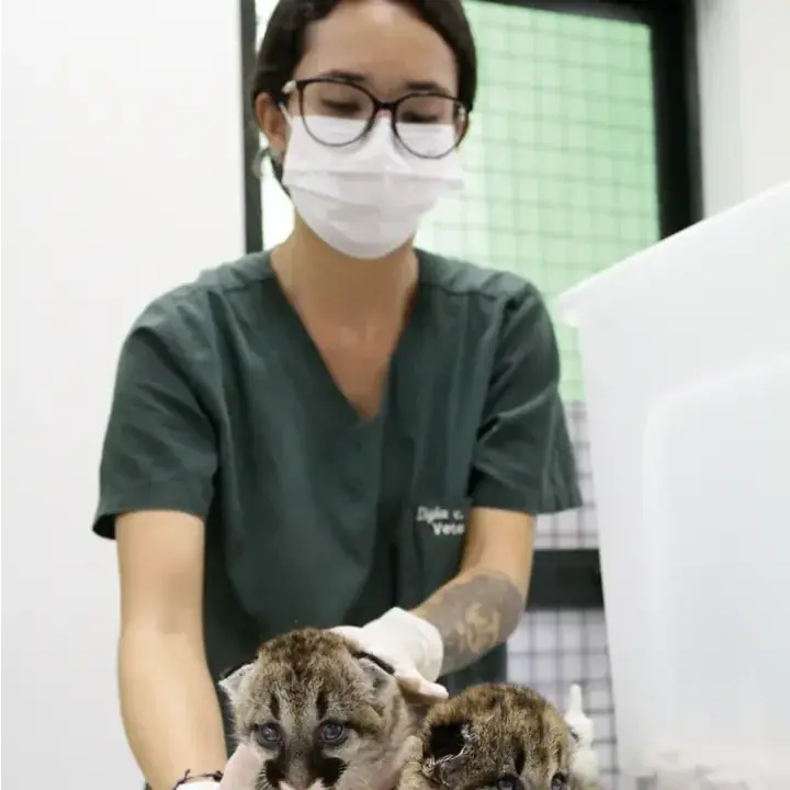 Zoo e PM ambiental se unem na missão de salvar animais