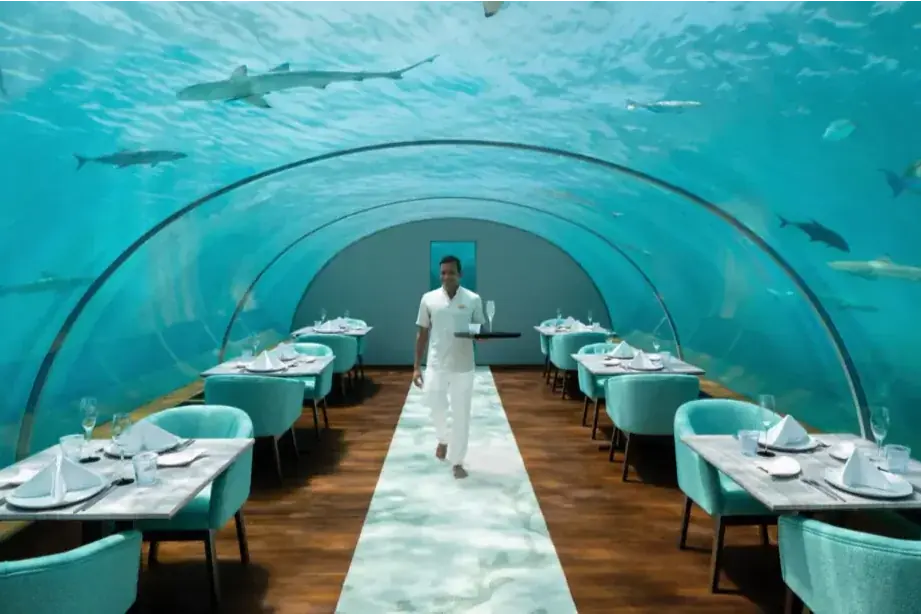 Thumbnail description