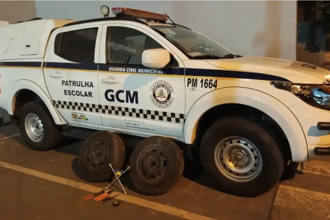 Homem é preso furtando pneus em beira de rodovia em Rio Preto