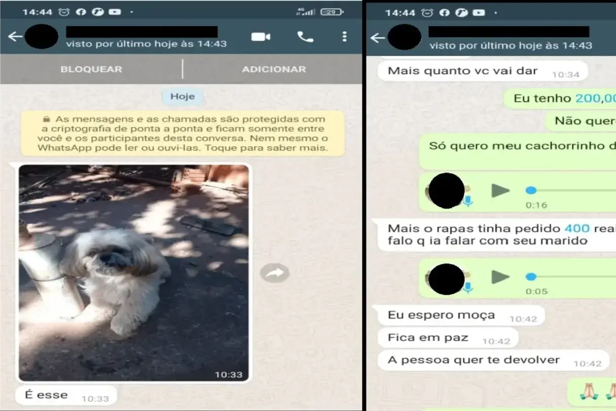Mulher é condenada a 2 anos de prisão por extorsão em Rio Preto