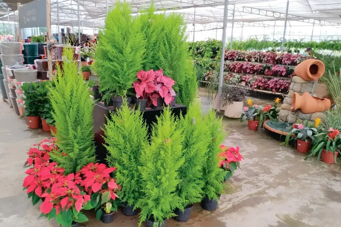 Thumbnail description