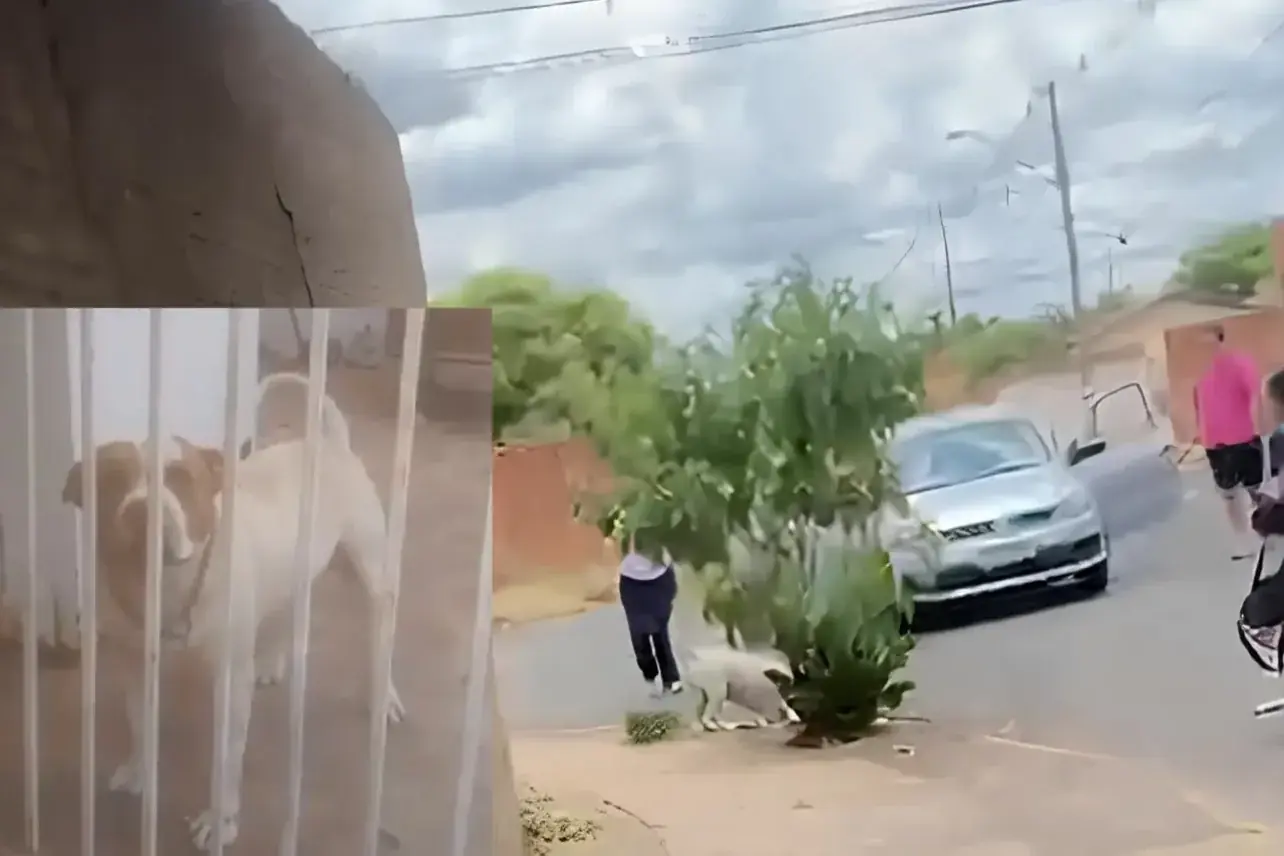 Thumbnail description