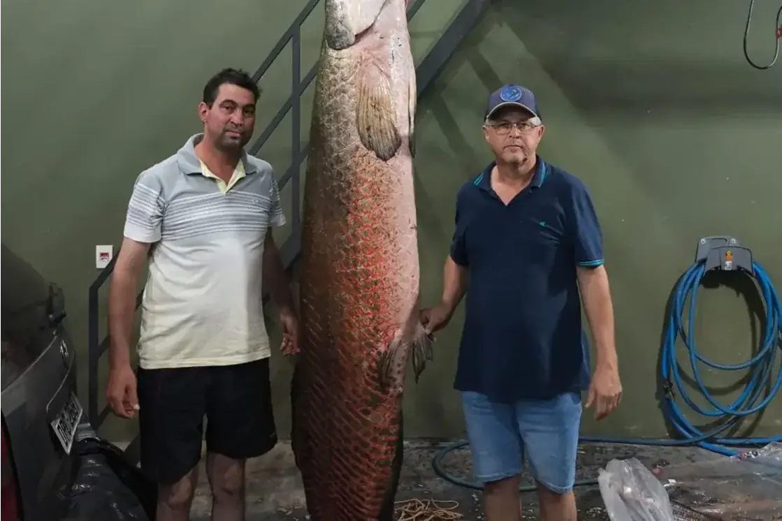 Primos de Urupês pescam pirarucu de 135 quilos na prainha de Riolândia