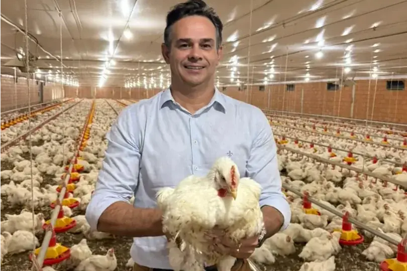 Aves na granja do produtor Fábio Berti (Divulgação)