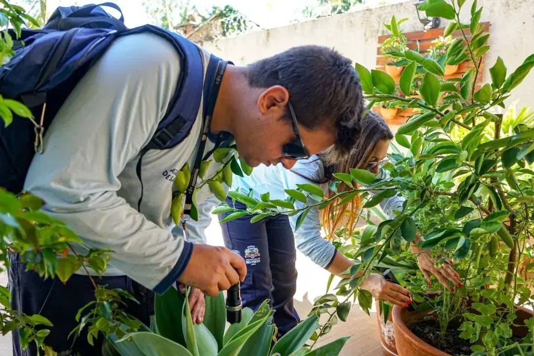 Mutirão contra dengue em Rio Preto atinge Maria Lúcia e São Deocleciano