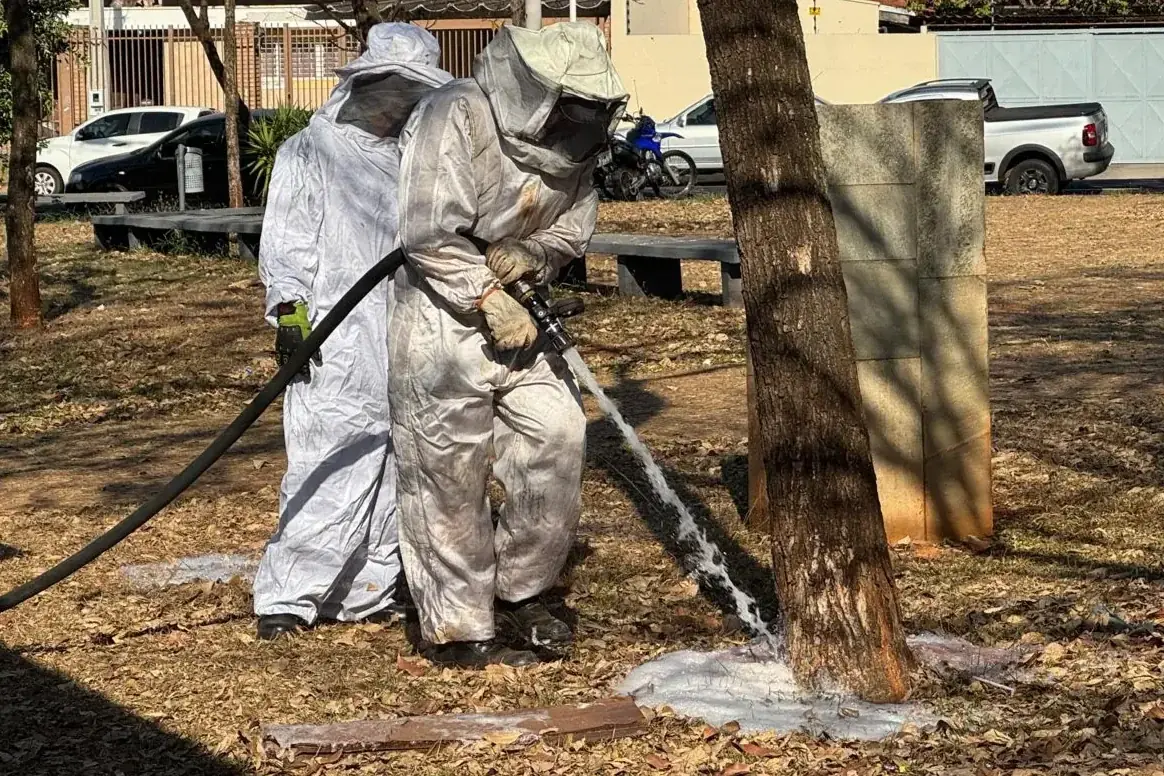 Bombeiros usam roupas especiais para manipular abelhas (Corpo de Bombeiros)
