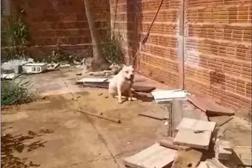 Thumbnail description