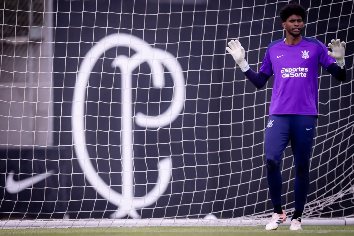 Thumbnail description