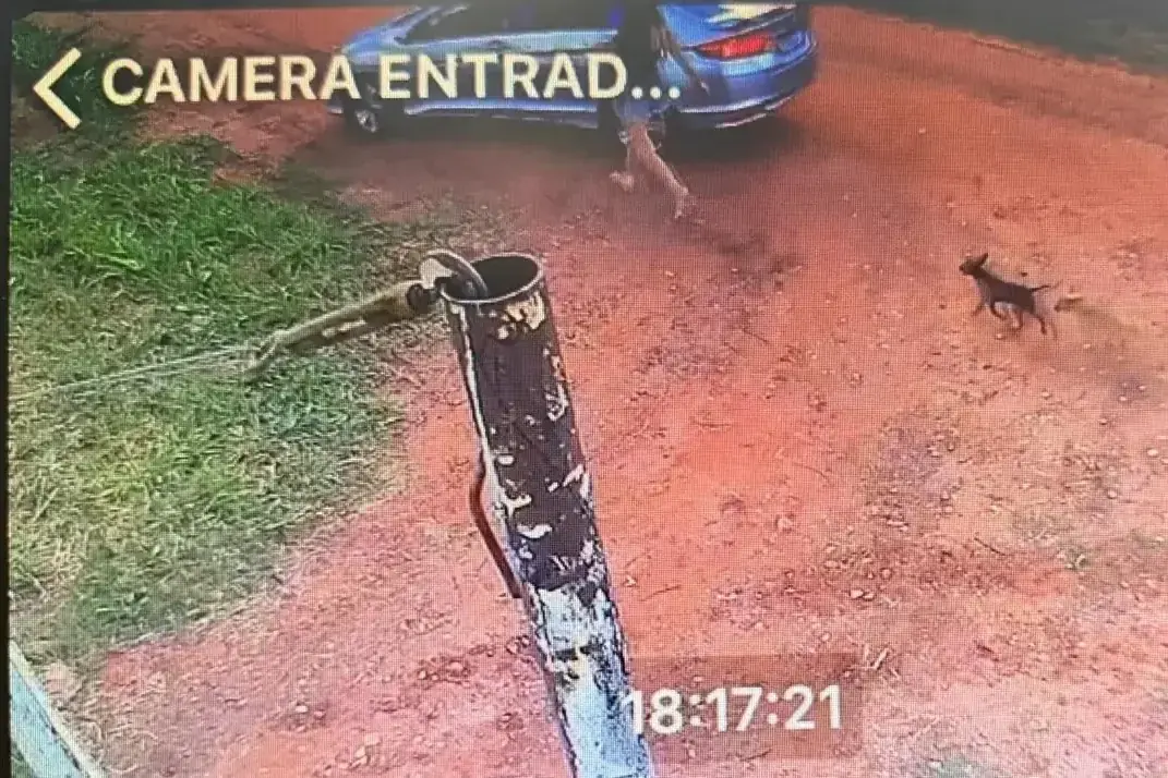 Thumbnail description