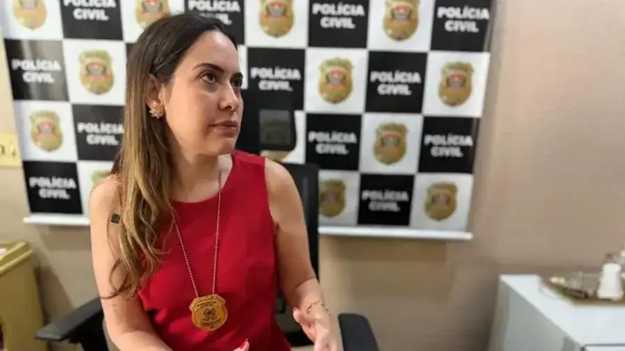 Delegada Mariana Nascimento investiga o caso pela DDM de Rio Preto (Marco Antonio dos Santos/Arquivo)
