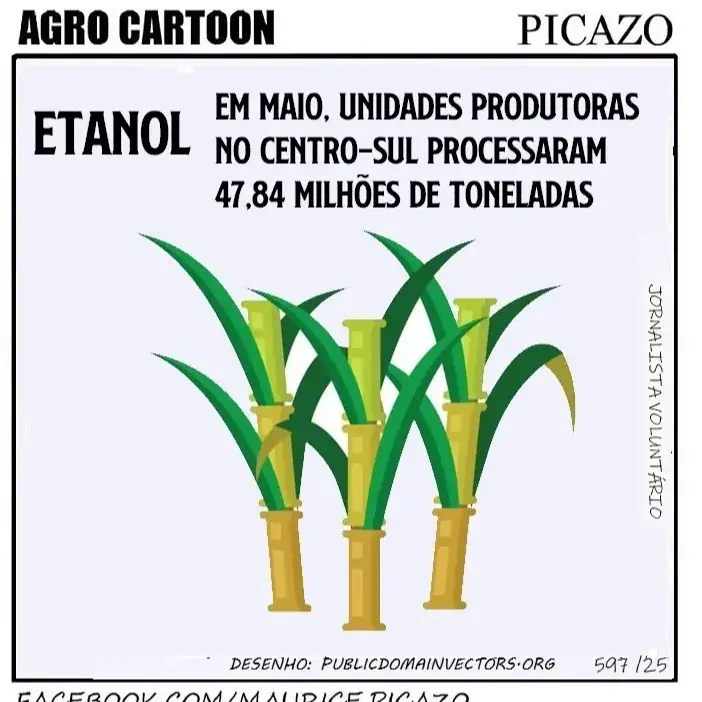 Agronotícias 23/6/2025