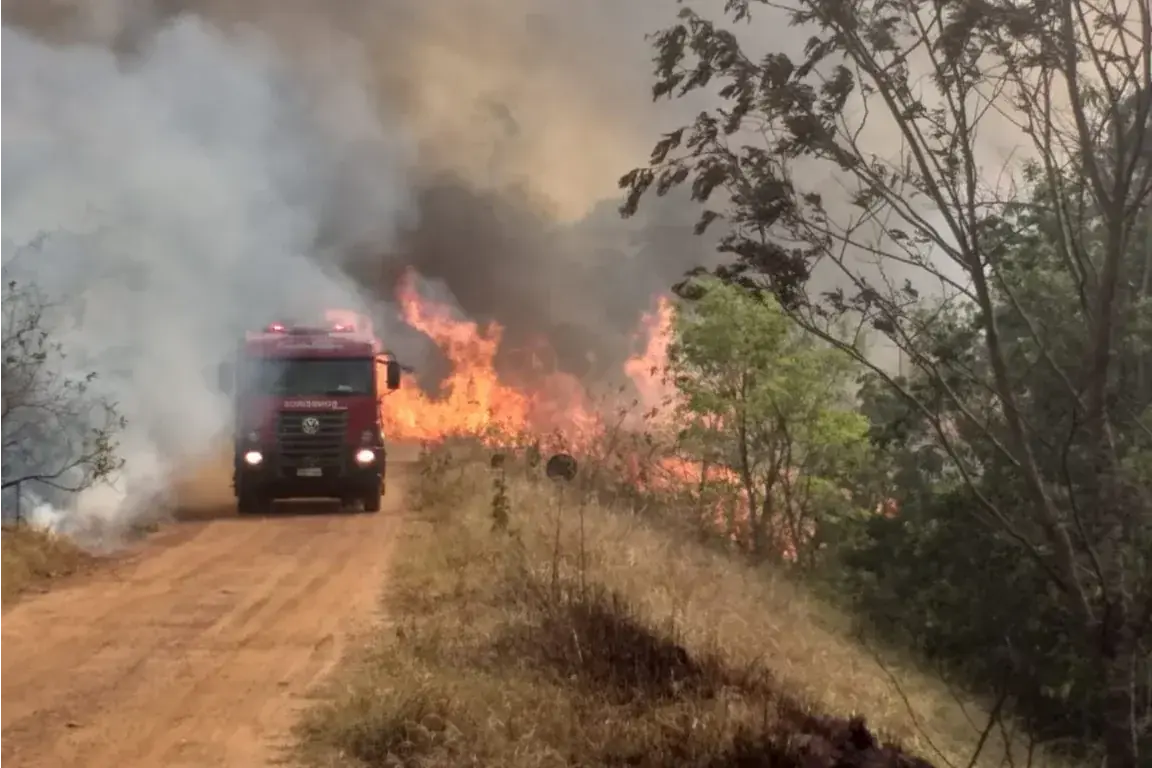 Bombeiros atendem 47 ocorrências de incêndio em um dia (Corpo de Bombeiros / Divulgação)