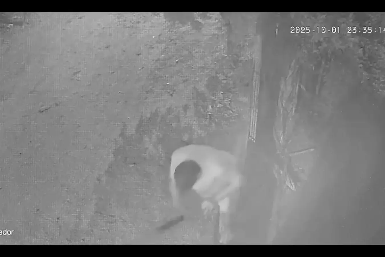Homem invade casa de vizinho, agride cão com facão e é preso em Rio Preto